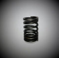 260552  555060 Briggs Engine Intake Valve Spring