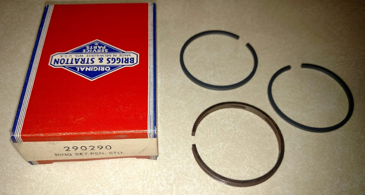 290290 Briggs Standard Ring Set