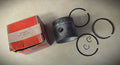 294676 Standard Piston & Rings Set