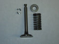 Briggs Valve Assembly F Series Exhaust 65893